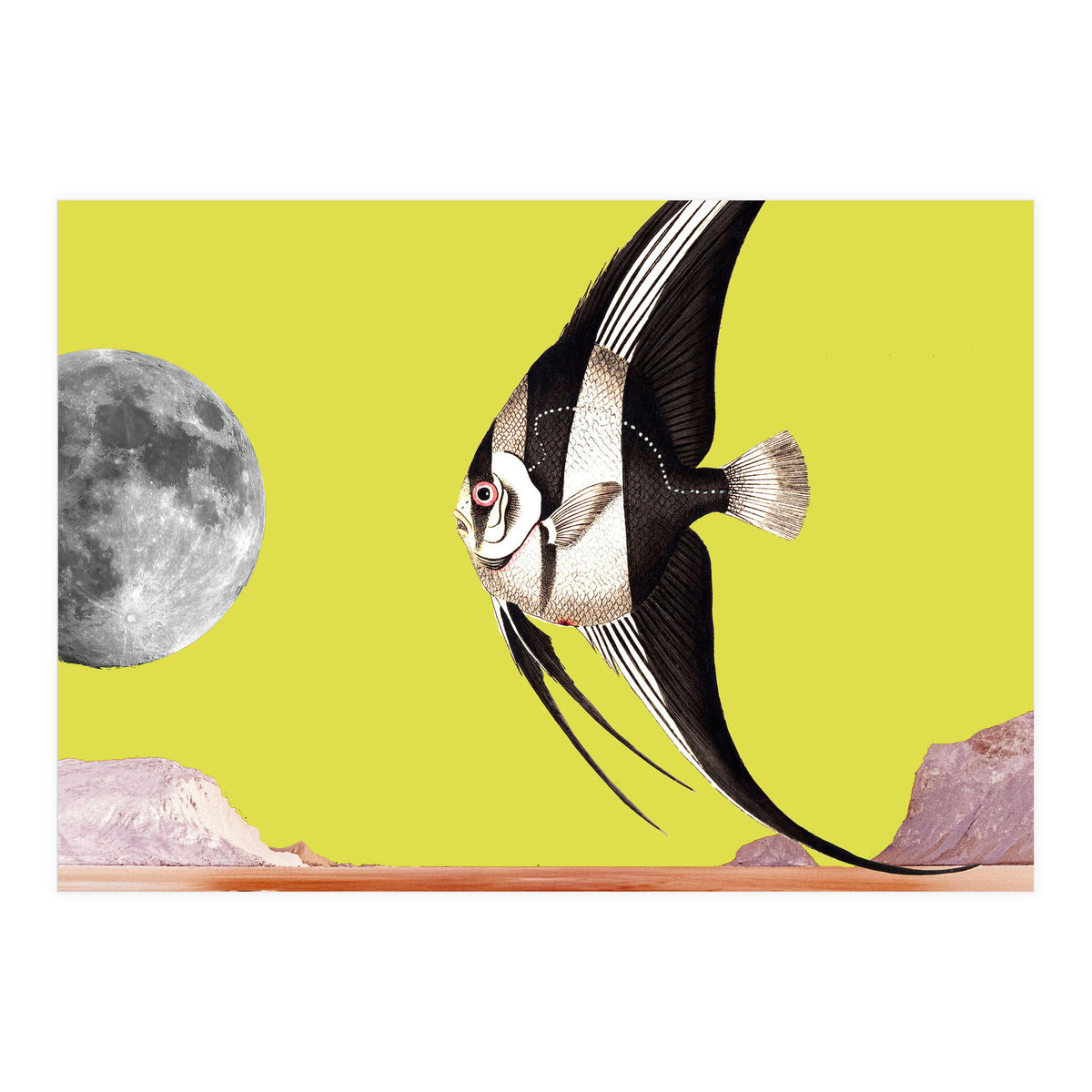 Plenty of fish in the sea yellow (Print Only)