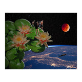 See From Lotus (Print Only) thumbnail