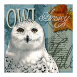 Snow Owl (Print Only) thumbnail