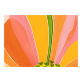 Rainbow Bloom Botanical (Print Only) thumbnail