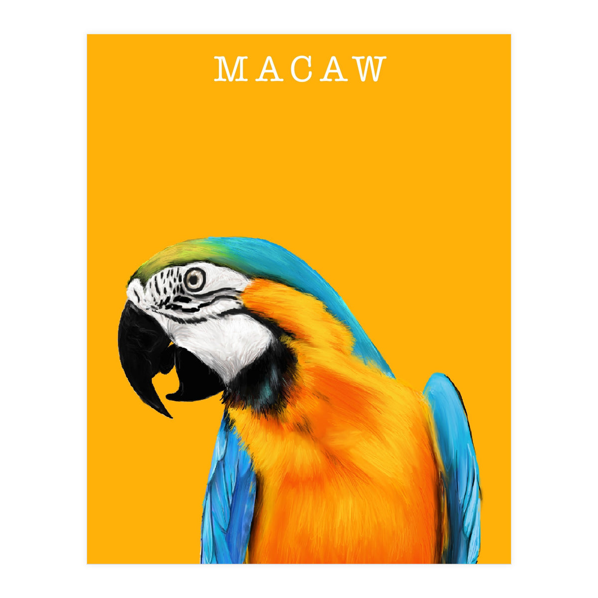 Macaw (Print Only)