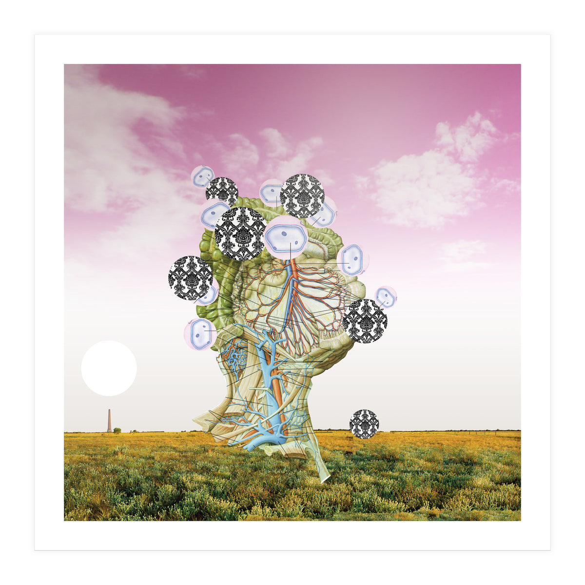 Flesh And The Tree (Print Only)