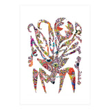 Planta Salvaje 24 Copia (Print Only) thumbnail