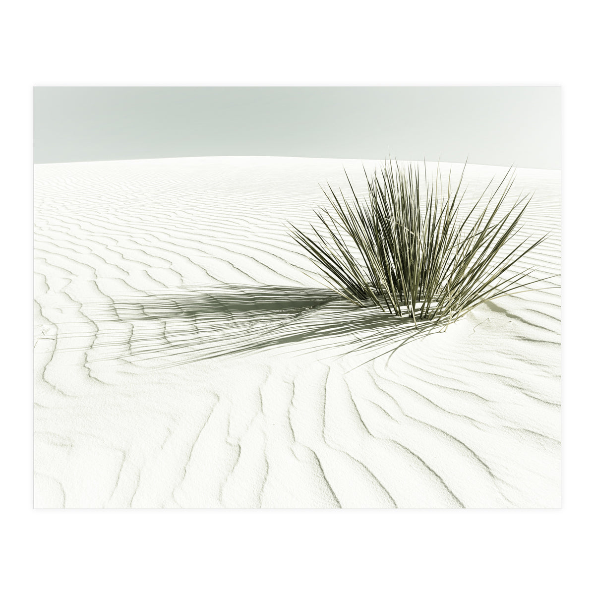 WHITE SANDS Idyllic scenery | Vintage (Print Only)