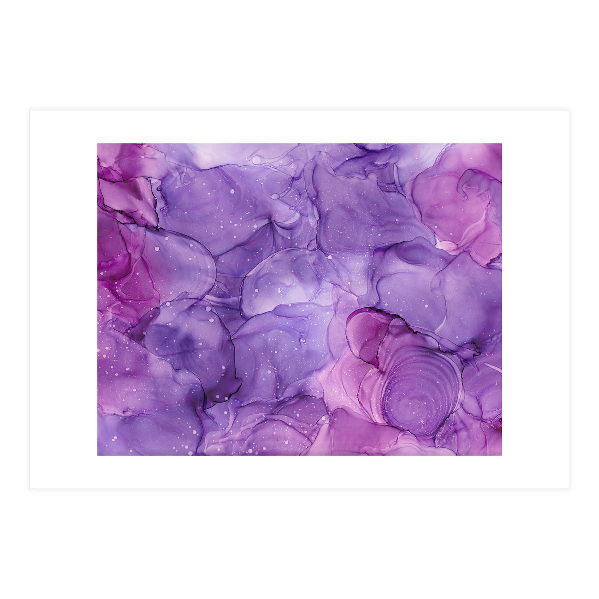 Wild Lilac Hedgerow (Print Only)