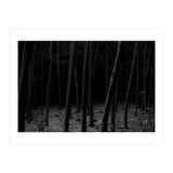 silent woods (Print Only) thumbnail