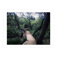 Glen Canyon Park (Print Only)