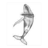 Humpacks no. 2 (Print Only) thumbnail