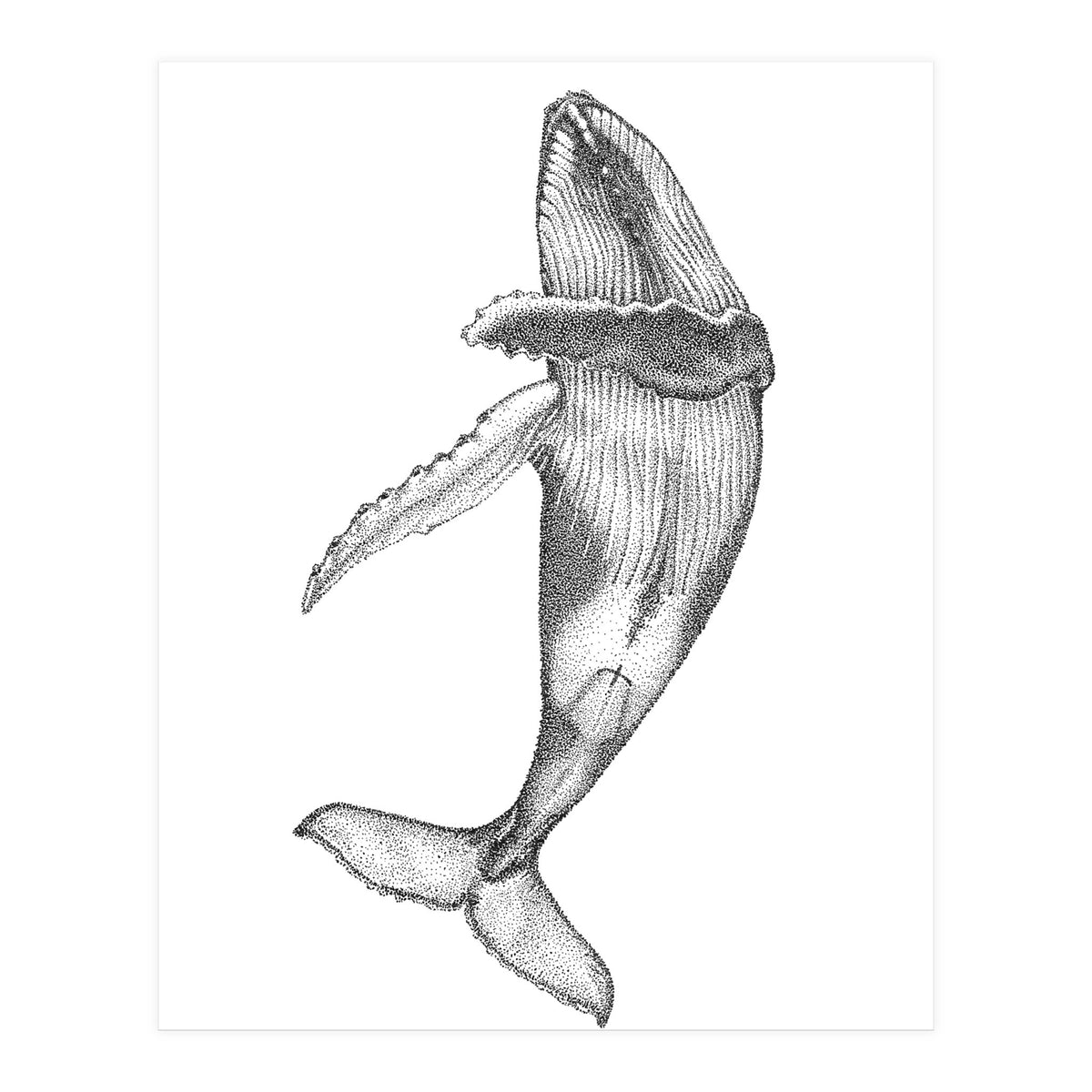 Humpacks no. 2 (Print Only)