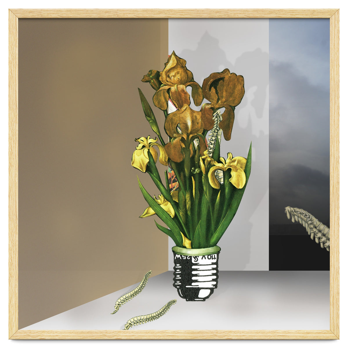 Das Licht Der Pflanze