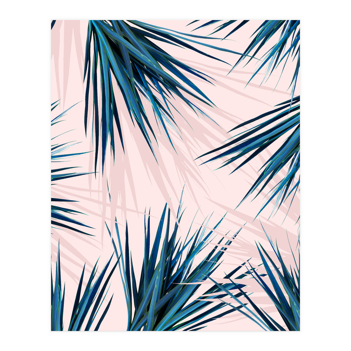 Pointy Palm (Print Only)