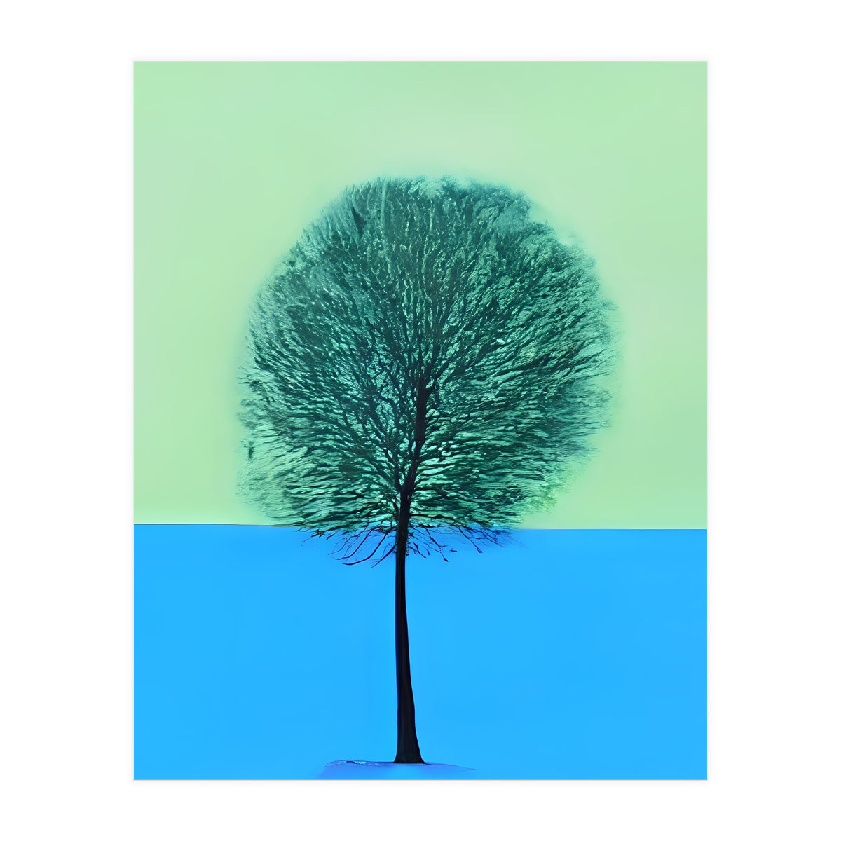 Tree in the snow  (Print Only)