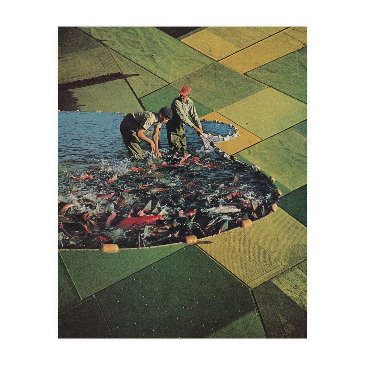 Salmon Farm (Print Only)