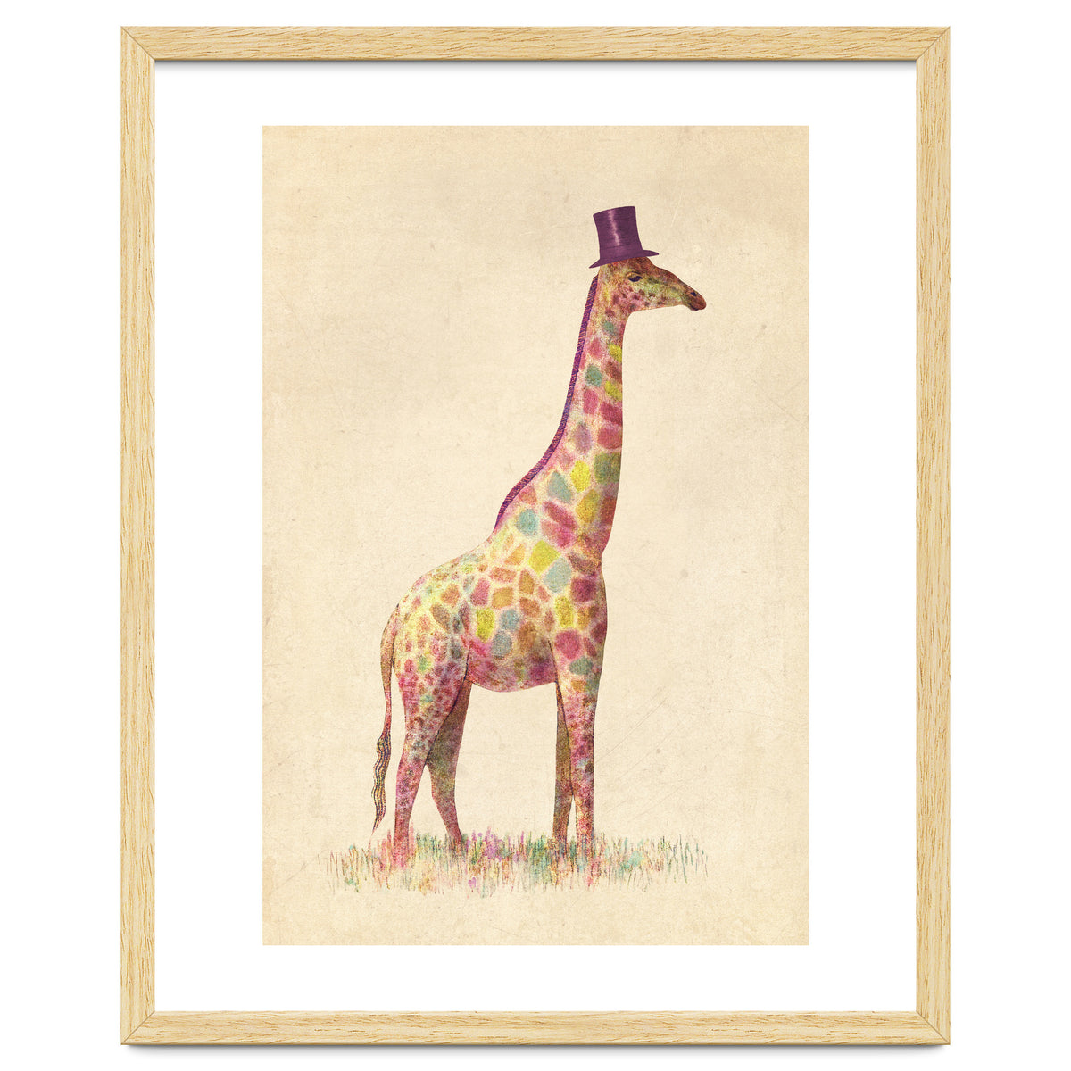 Fashionable Giraffe