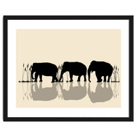 Elephants Crossing Water