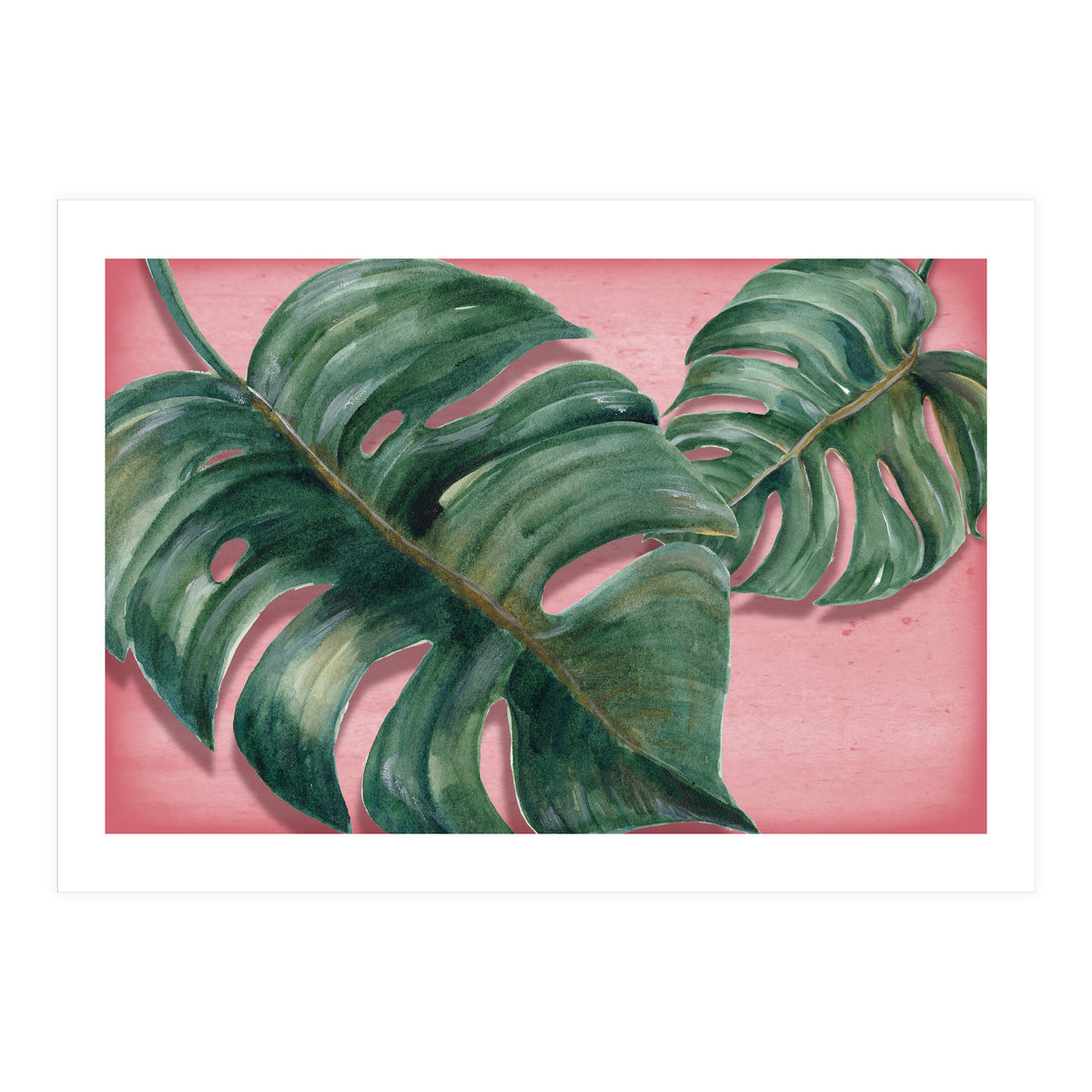 Monstera Leaf (Print Only)