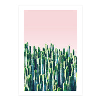 Cactus & Sunset I (Print Only)