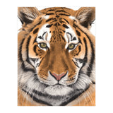 Tiger (Print Only) thumbnail