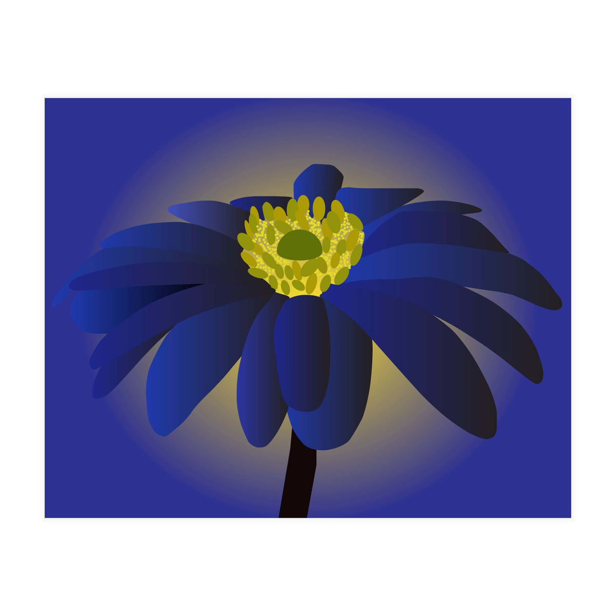 Anemone Blanda Flower Art (Print Only)