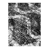 Sampa II (Print Only) thumbnail