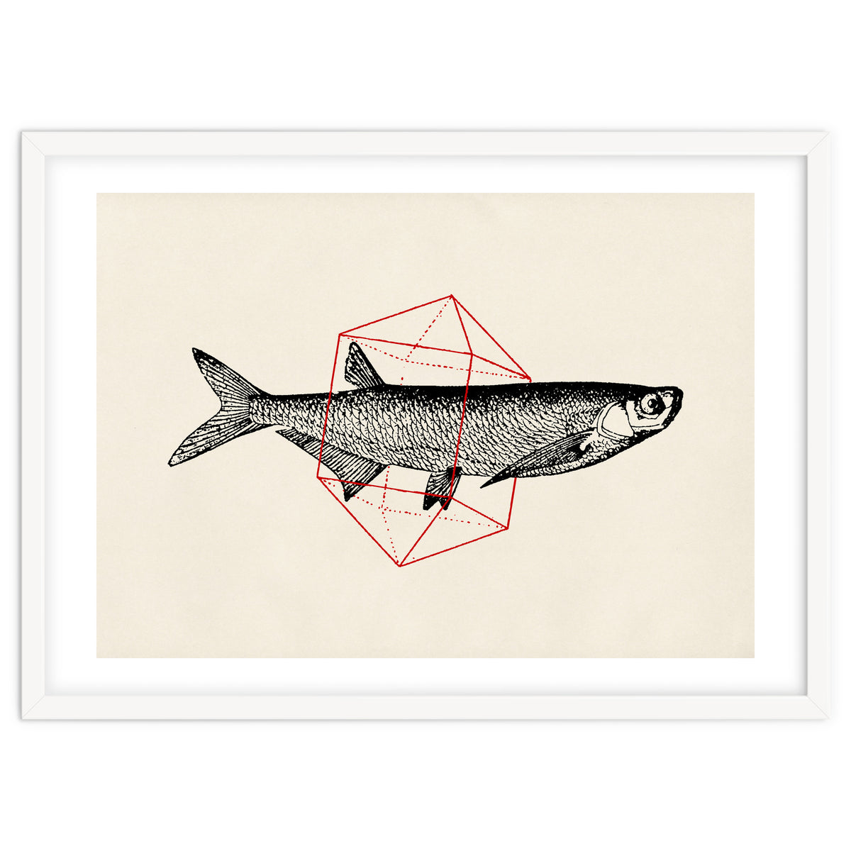 Fish In Geometrics II