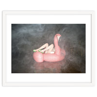 Foggy Flamingo Fairy