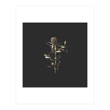 Golden Botanicals -  Square (Print Only) thumbnail
