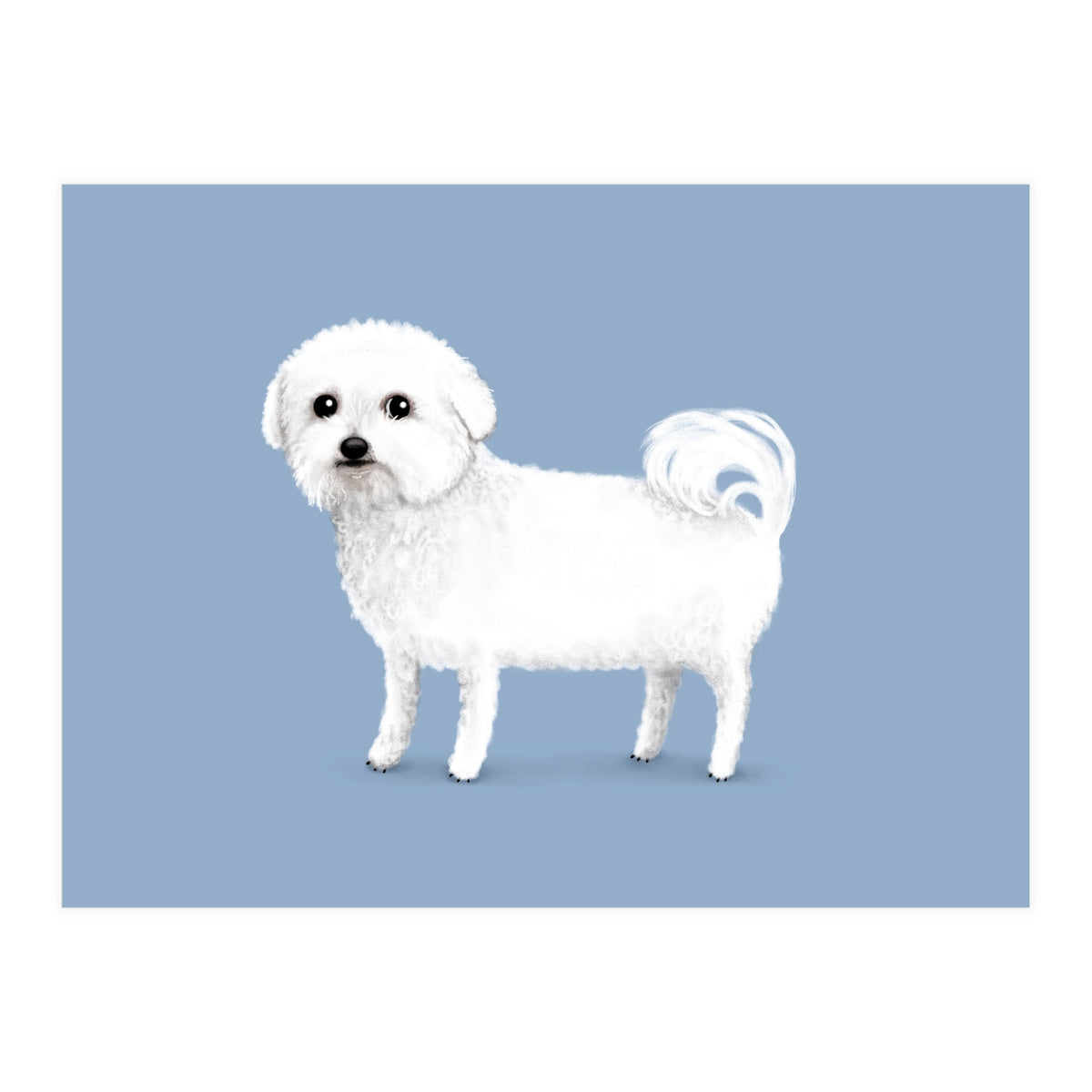 Bichon Frise (Print Only)