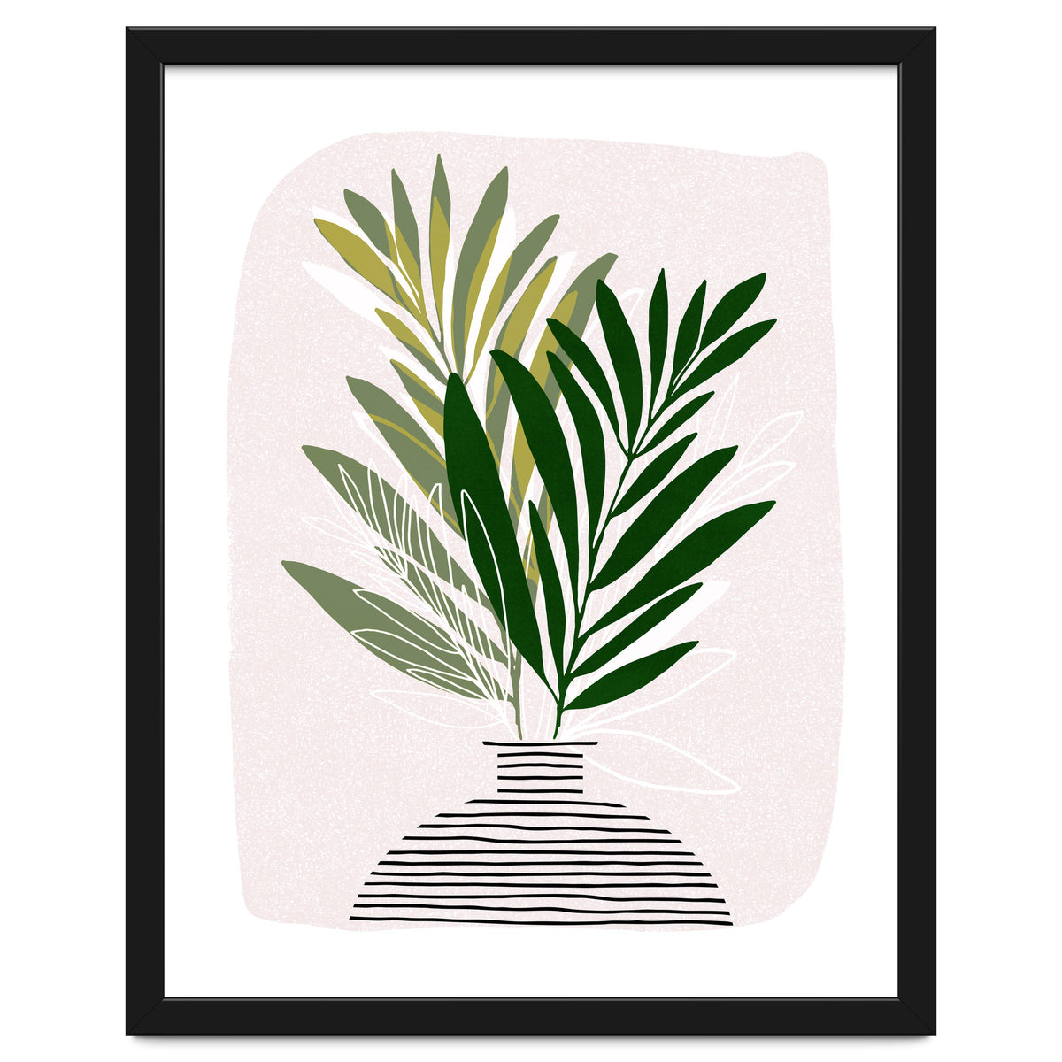 Olive Branches