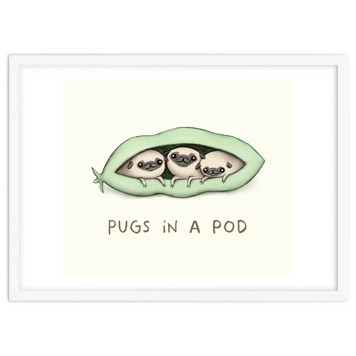 Pugs In A Pod