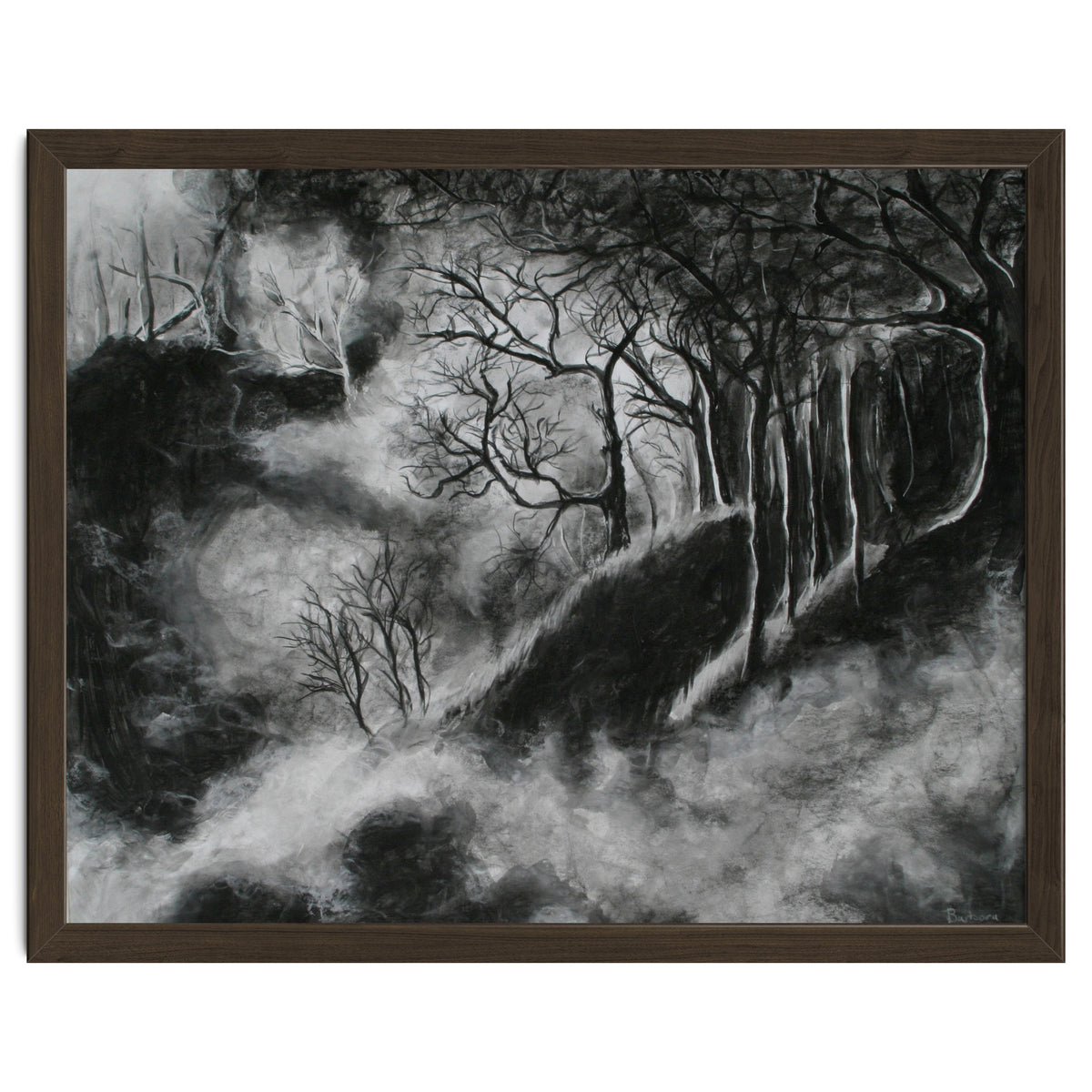 Black and White Forest in Clouds