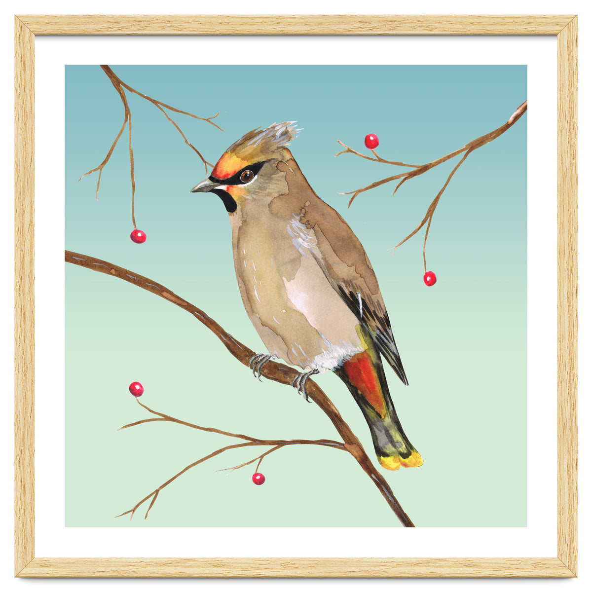 Bohemian waxwing