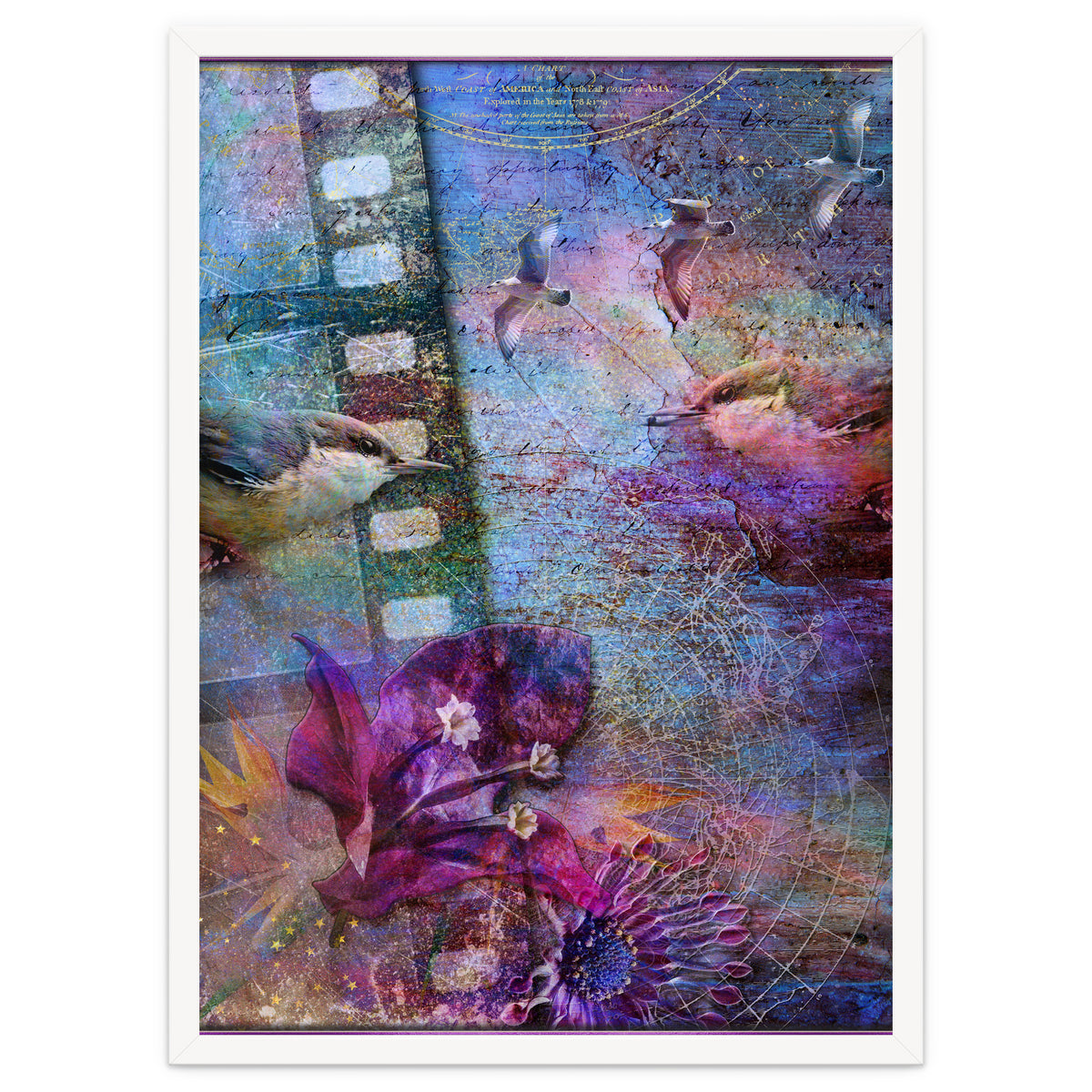 Watching the Wild World