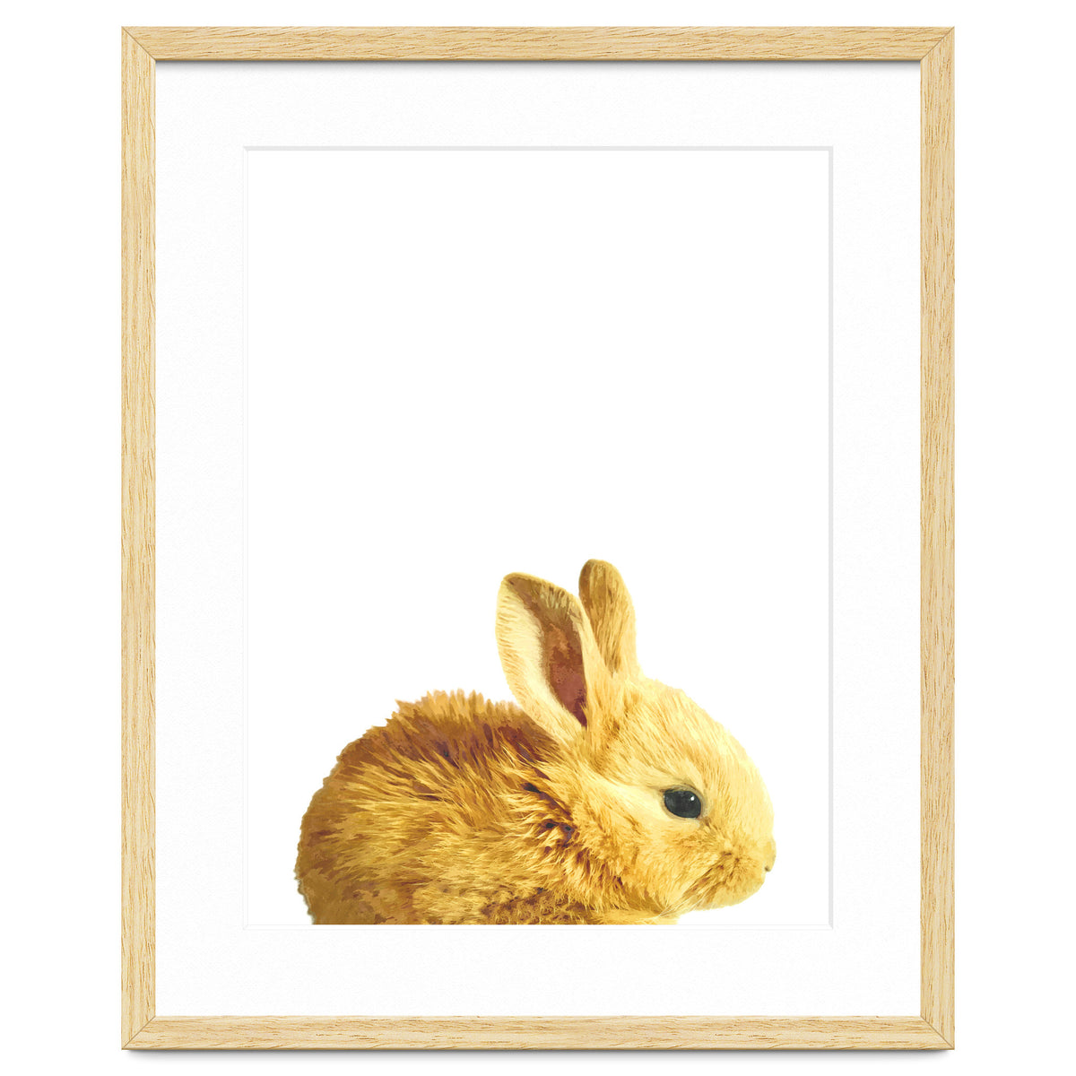 Bunny Portrait