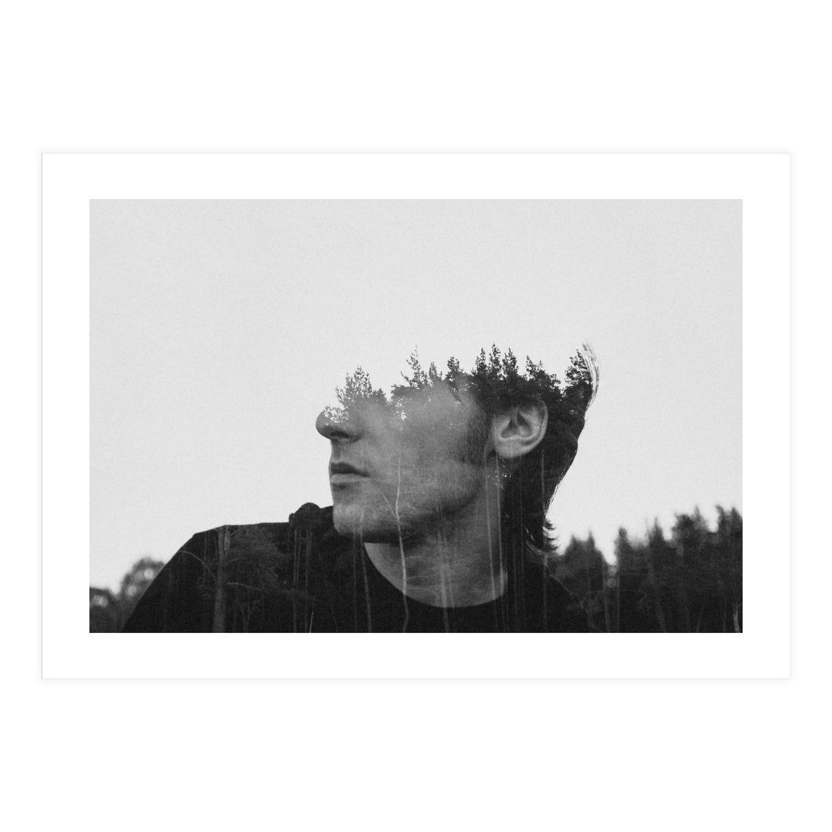 Environmentalist (Print Only)