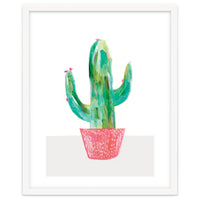 Painted Cactus In Coral Plant Pot