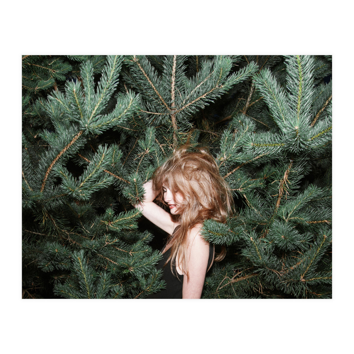 Northern Comfort (Print Only)