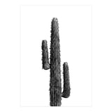 Cactus Black and White 01 (Print Only) thumbnail