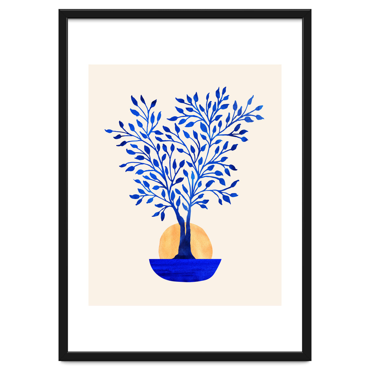 Indigo Ficus Sunrise