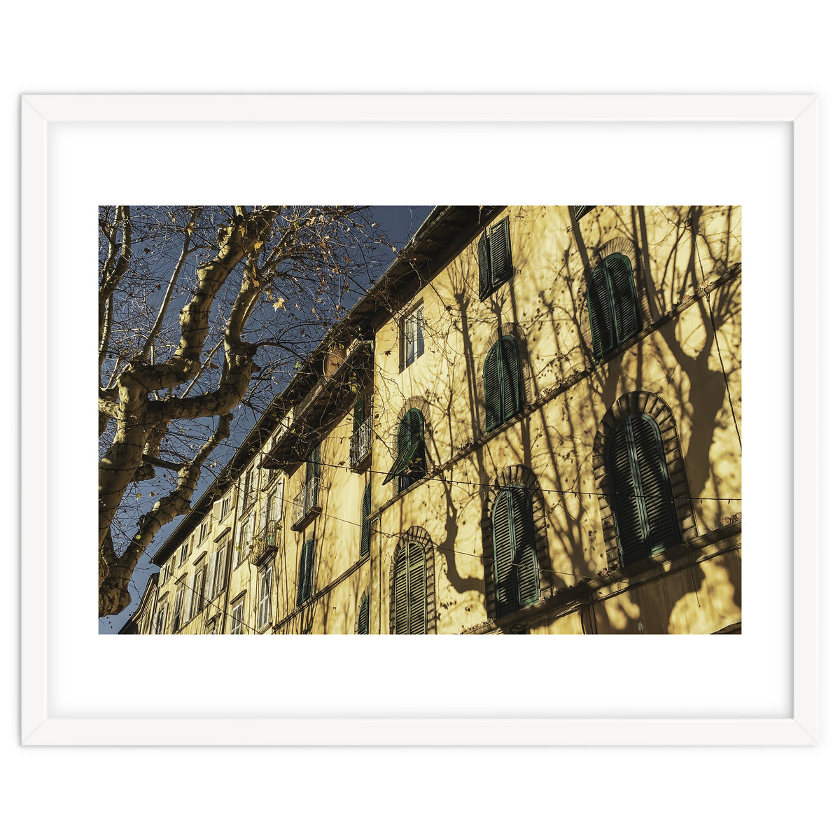 Windows From Tuscany 3