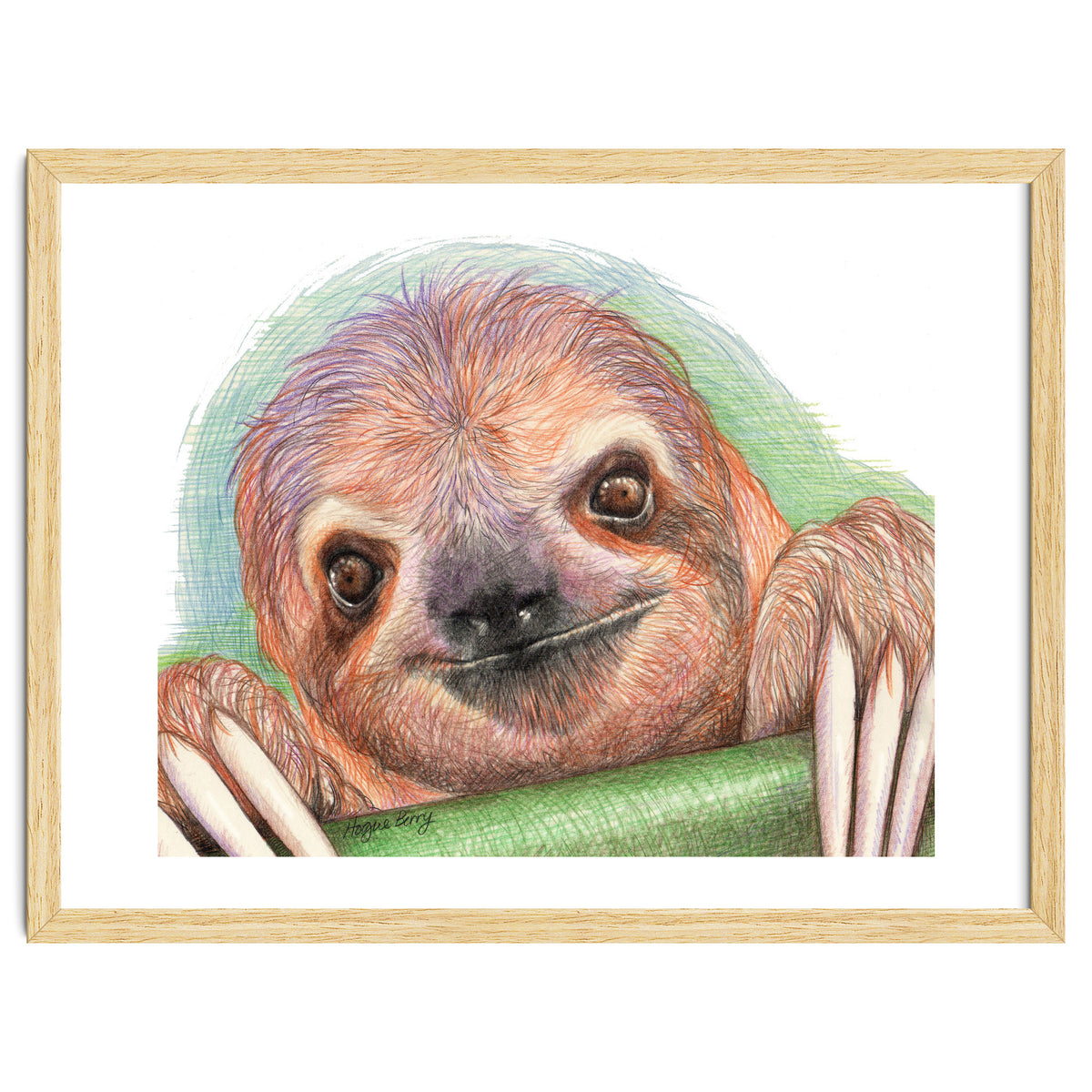 Smiling Sloth