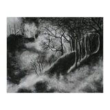 Black and White Forest in Clouds (Print Only) thumbnail
