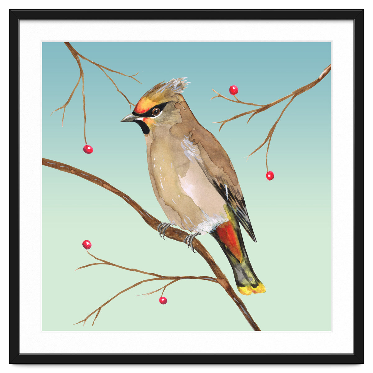 Bohemian waxwing