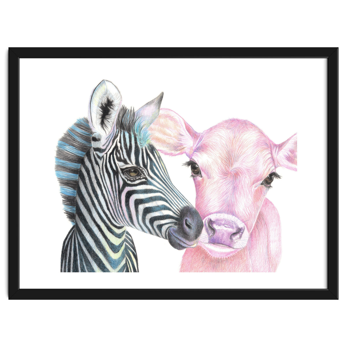 Zebra and Cow