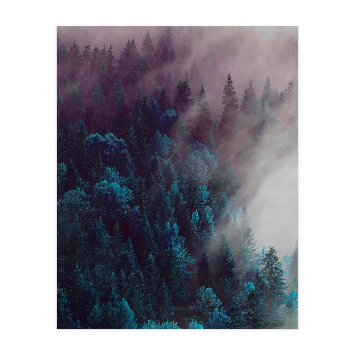 Anywhere You Go (Print Only)