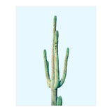 Loner Cactus (Print Only) thumbnail