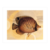 Fish Between Circles 3 (Print Only) thumbnail