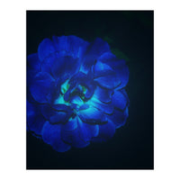 Lucky Blue Rose (Print Only)