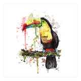 Toucan - Wildlife Collection (Print Only) thumbnail