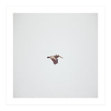 Solo Flight (Print Only) thumbnail